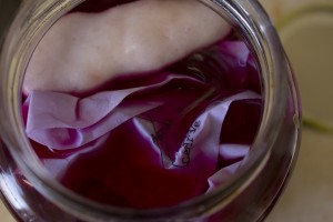 USB drive and will in beet vinegar